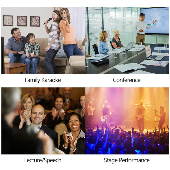 High-Quality Dual-Use Vocal Microphone